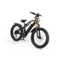 Urban XF900 Mountain E-Bike - Image 19