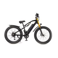 Urban XF900 Mountain E-Bike