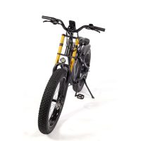 Urban XF900 Mountain E-Bike - Image 9