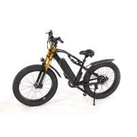 Urban XF900 Mountain E-Bike - Image 3